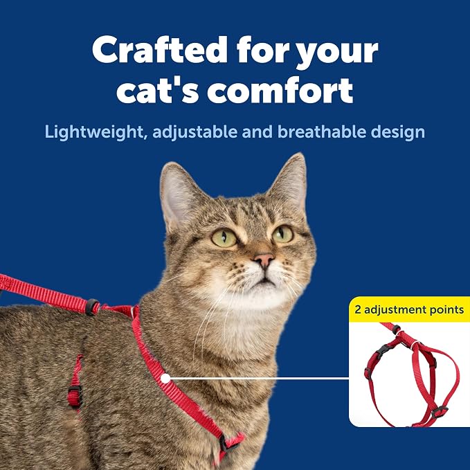 PetSafe Come With Me Kitty Harness and Bungee Leash, Harness for Cats, Large, Red/Cranberry (CWMK-L-RED) | Adjustable 2-Point Fit Applies Gentle Pressure to Shoulders, Not Neck, for Average and Large Cats with 13 in - 18 in Girth
