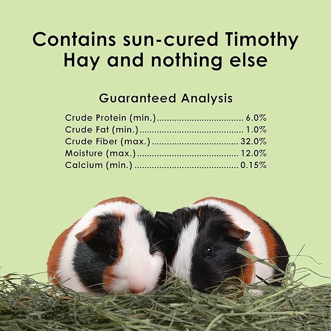 Kaytee Timothy Hay, High Fiber, Grown Specifically for Small Animals, Rabbits, Guinea Pigs, Chinchillas, 96 Ounces