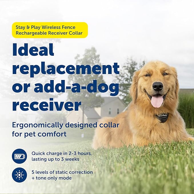 PetSafe Stay & Play Wireless Fence Receive Collar - Rechargeable and Waterproof Receiver Collar with Quick Charge in 2-3 Hours - for Dogs 5lb+