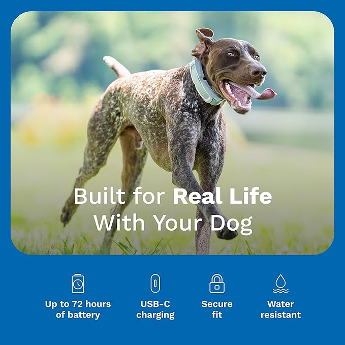 Invisible Fence GPS Dog Fence & Tracking Collar - Wireless - Smart Dog Collar with App Controlled Tracking - Fits Medium & Large Dogs Neck 15"-28" Waterproof