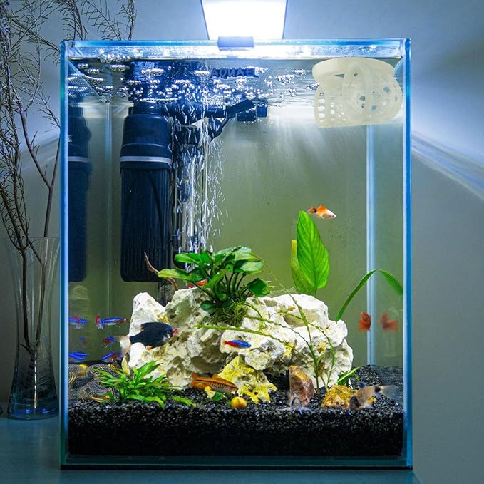 Glow in the Dark Floating Betta Activity Tunnel, Aquarium Hideout and Shrimp Cave, Interactive Fish Tank Decor and Stress Relief Resting Spot for Betta Fish and Smallfish Shrimp