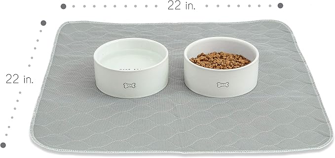 rocket & rex Grey Washable Reusable Pee Pads, Leak-Proof (22x22, 2pk) | For potty training, whelping & crate lining. OEKO-TEX, chemical-free.