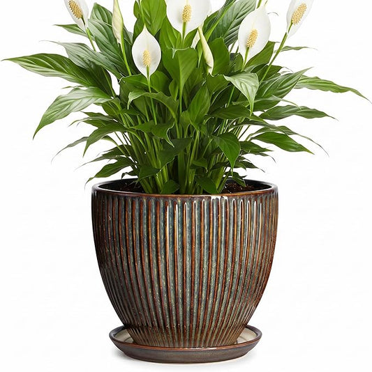 Ceramic Planter, 8 Inch Plant Pots for Indoor Plants, Round Planter with Drainage Hole and Saucer, Modern Decorative Flower Pots, House Office Decor, Gifts for Plant Lovers, Retro Brown