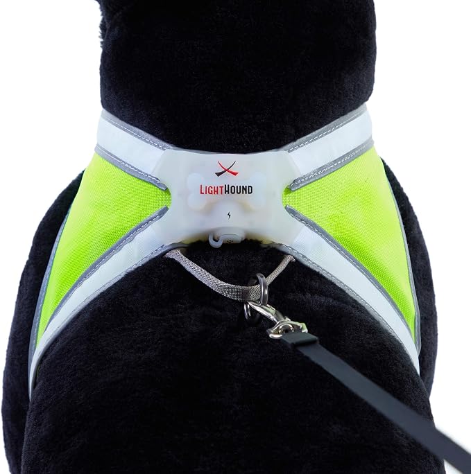 noxgear LightHound Light Up Reflective Dog Harness, Medium | 360° Light Up Reflective Dog Harness, 8 Colors & 6 Modes, USB Rechargeable, Adjustable, Rainproof, LED Fiber Optic