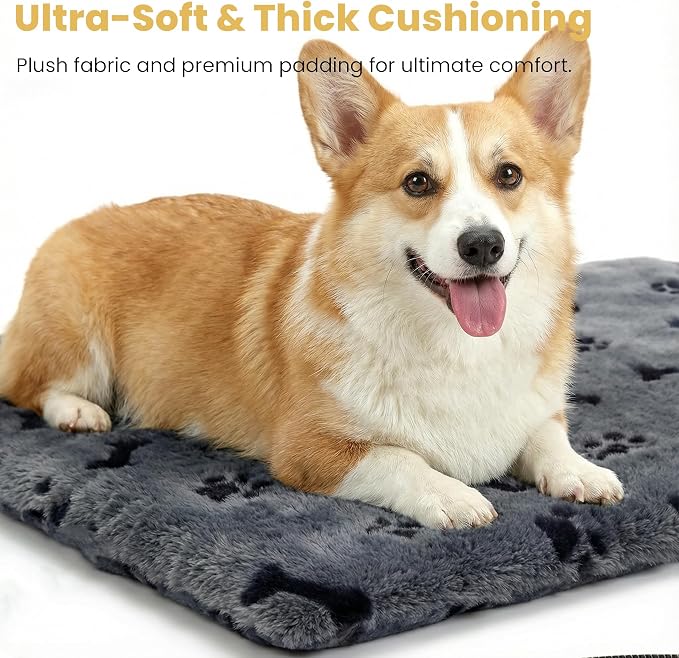 Pet Heating Pad for Cats Dogs Indoor & Sheltered Outdoor Waterproof Heated Cat Bed Heated Dog Bed Chew Resistant Cord Constant Temperature Gray Paw Print 20 x 16 Inch