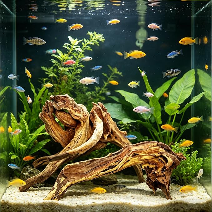 2 PCS Large Natural Aquarium Driftwood 12-16", Aquarium Drift Wood for Fish Tank Decoration, Assorted Size Mopani Wood Twisted Branches Trunk Decor for Freshwater, Reptile Terrarium