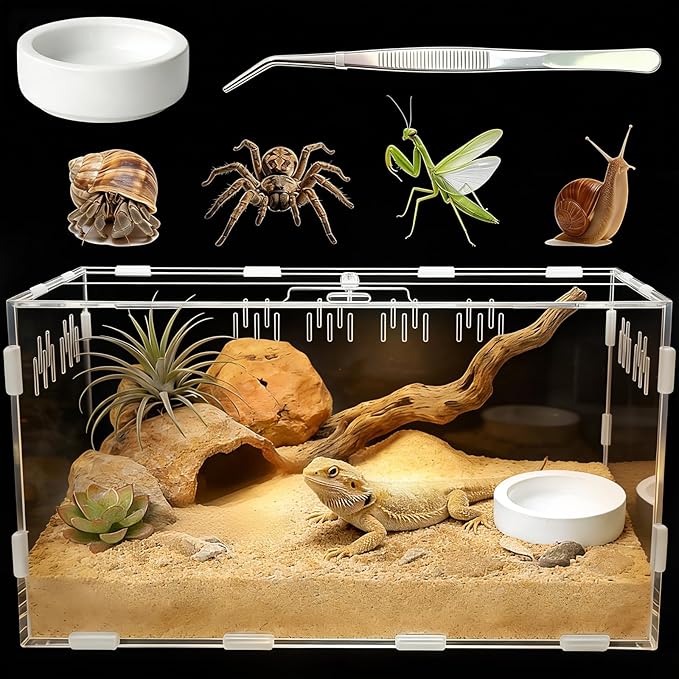 Acrylic Reptile Terrarium, Tarantula Enclosure with Magnetic Door, Easy-Clean Reptile Tank for Spider, Insect, Gecko, Mantis, Frog, Snail, Isopods(Tweezer and Bowl Included)