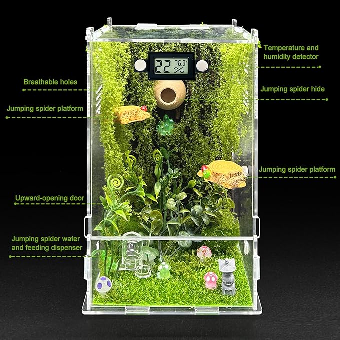 Jumping Spider Enclosure,DIY Insects Habitat,Small Reptile Terrarium Glass House Accessories Set,with Temperature and Humidity Detector Water Feeder Platform Hide,5.5“x5.5”x9.5“ (Forest)