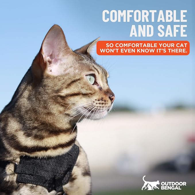 Houdini™ Escape Proof Cat Harness and Leash (Black, XL) | Adjustable walking vest with 6ft lead, breathable mesh, secure snug fit, lightweight for travel, hikes and daily adventures