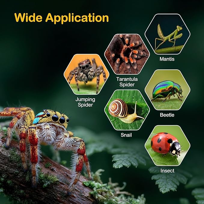Jumping Spider Enclosure,Escape Proof Reptile Tank,Transparent Acrylic Complete Bug Habitat,Praying Mantis Terrariums,Arboreal Tarantula Cribs Cage,Insect Starter Container,Single Cylinder