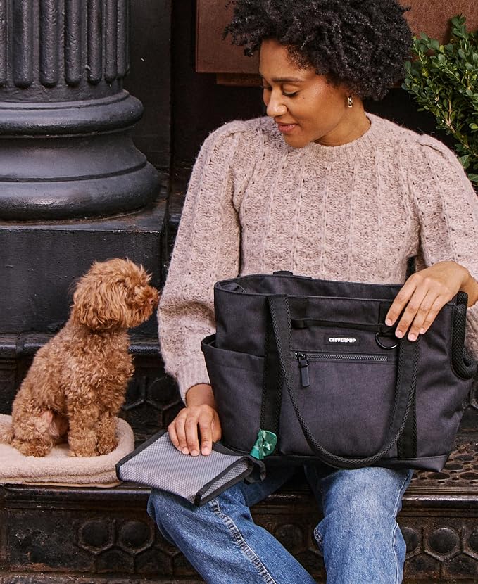 Transit Tote Dog Carrier for Small Dogs Under 8 lbs, 16x11x8 Soft-Sided 4-Pc Set with Waterproof Base, Plush Insert, Food Pouch, Mesh Head Opening - Small Graphite