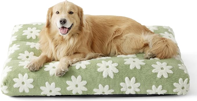 LE SURE Extra Large Dog Bed-Thick Shredded Chopped Foam Pet Bed Indoor with Removable Cover, Cute Modern Fuzzy Plush & Anti Slip Bottom, Green | Shredded Chopped Foam,Modern Plush Crate Cushion Gift for Extra Large Dog, Waterproof Washable Cover, Anti ...