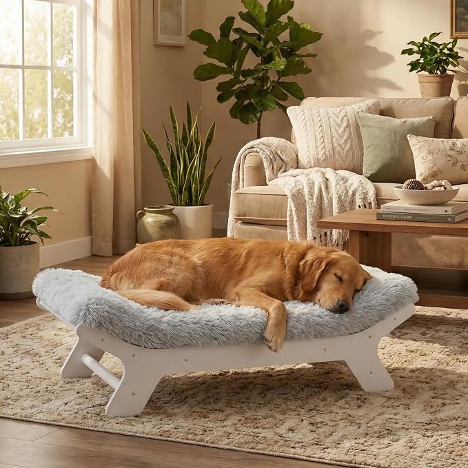 Elevated Wood Dog Bed Frame Mat Set, Whitecolor, Large | Raised Sturdy Attractive Dog Sofa Couch Furniture,80 lb