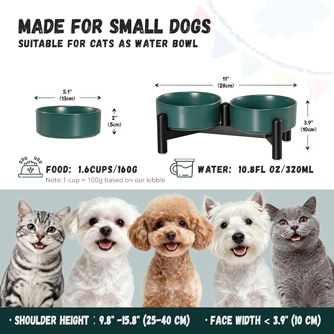 Raised Ceramic Dog Bowl Set with Stand, 1.6 Cups Elevated Dog Food Stand | 5.1'' Double Dog Food and Water Bowl Set, Non-Slip Dog Feeding Dishes for Small Breeds and Cats, 10.8 OZ, Green