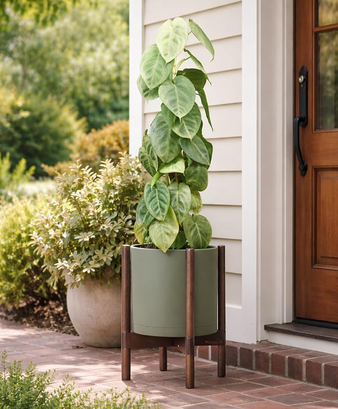 D'vine Dev Plastic Pot with Walnut Wood Stand, Olive, 10 in, 55-C-L-3 | Mid-Century Inspired Design, Elevated Plant Display, Clean Lines, Sturdy Support, Modern Space-Saving Style
