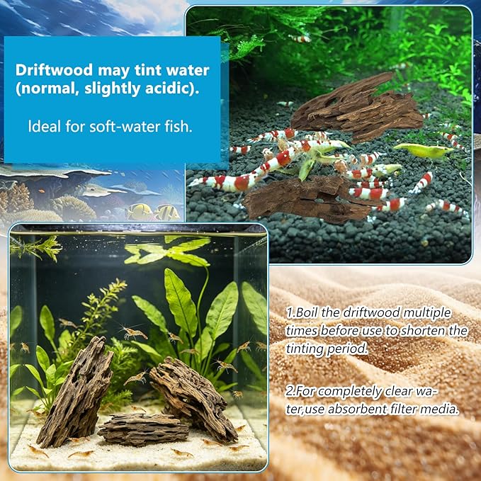 10 PCS Natural Honeycomb Wood 2-4", Porous Aquarium Driftwood, Cholla Wood Shrimp Shelter Breeding Cave, Shrimp Dragon Wood for Fish Tank, Aquascaping, Reptile, Terrarium Decor