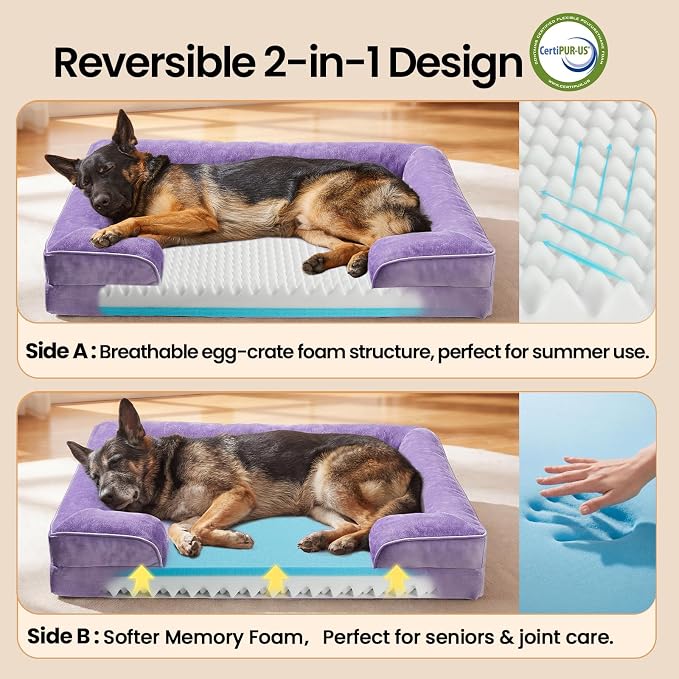 OhGeni Orthopedic Extra Large Dog Bed Couch, Memory Foam, 44-inch (Purple) | Waterproof Pet Bed with Machine-Washable Removable Cover & Soft Comfortable Fabric