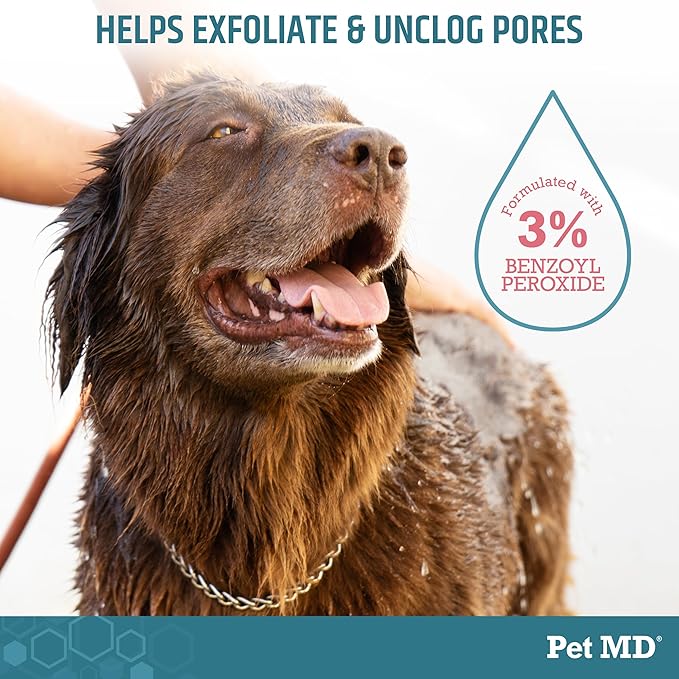Pet MD Benzoyl Peroxide Shampoo for Dogs and Cats – Helps Relieve Itchy, Oily & Flaky Skin – Deep Cleansing & Deodorizing Formula – Scented – 12oz
