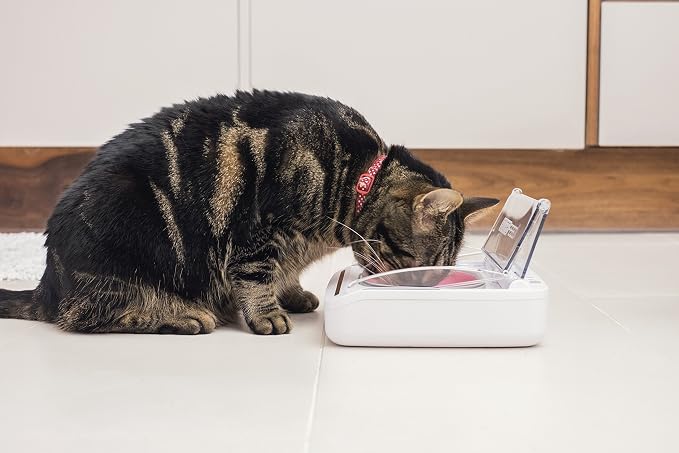 Sure Petcare - SureFeed - Motion Activated Sealed Pet Bowl - NOT Microchip Activated
