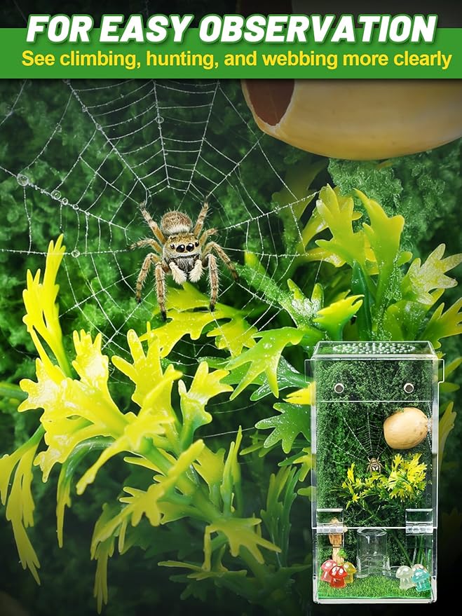 Escape Proof Jumping Spider Enclosure Kit - 3x3x6in Pre-Assembled Acrylic Terrarium with Magnetic Door/Micro Vent Holes/Accessories, Insects Habitat for Spiderlings, Mantis, Tarantulas, Snails