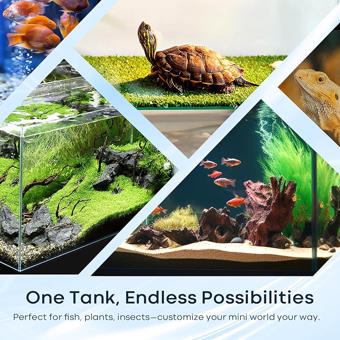 6 Gallon Glass Fish Tank 5 Gallon, Small Aquarium Fish Bowl Cube for Betta Goldfish Snails Shrimp Aquatic Planting, Easy to Maintain Ultra Clear Rimless Design Low Iron