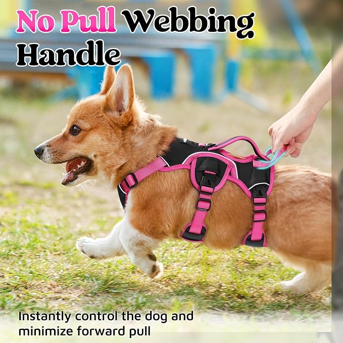rabbitgoo Escape Proof Dog Harness for Small, No Pull with Lift Handle | No Escape, Full Soft Padded, Reflective Adjustable Vest, Leash Clip for Walking Hiking Training, Rose & Black, Small
