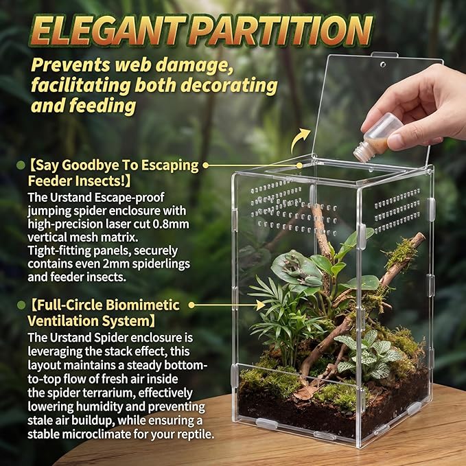 Hushee 2 Pcs Acrylic Reptile Terrarium Easy Assembly, 360° Clear & Keep Pet Secure Design for Jumping Spiders, Tarantulas, Frog, Mantis, Geckos, Ventilated Habitat Terrarium Enclosure 9.8*5.9*5.9in