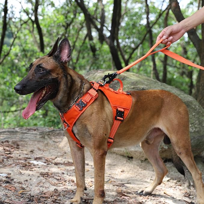 ICEFANG Quick-Moving Tactical Dog Harness X-Large Dogs,No Pull Dog Vest | Control Handle,Reflective,Full Metal Buckles,Adjustable,Hook-and-Loop Panel,Soft Padded,Orange,X-Large