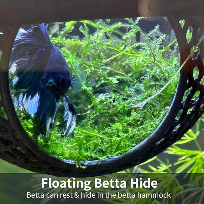 2 PCS Betta Hammock,Bett a Bed, Floating Betta Fish Hammock, 3D Printed Aquarium Decor, Betta Fish Feeder, Safe Resting Spot for Betta, Shrimp and Small Fish (Black)