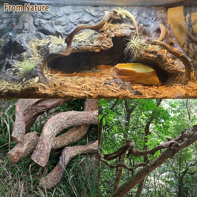 BNOSDM Reptile Forest Climbing Branch Decor 8PCS Crested Gecko Climb Wood Natural Branches Tree for Snake Frog Chameleon Spider Bearded Dragon Terrarium Habitat Tank Accessories