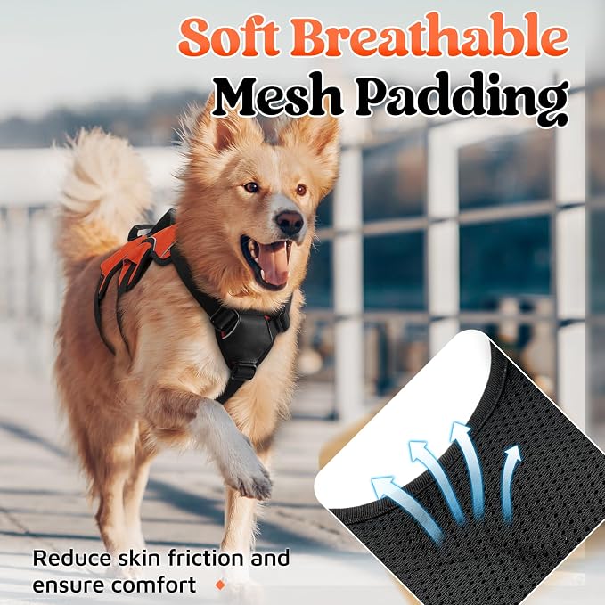 rabbitgoo Escape Proof Dog Harness for X-Large, No Pull with Lift Handle | No Escape, Full Soft Padded, Reflective Adjustable Vest, Leash Clip for Walking Hiking Training, Orange, X-Large