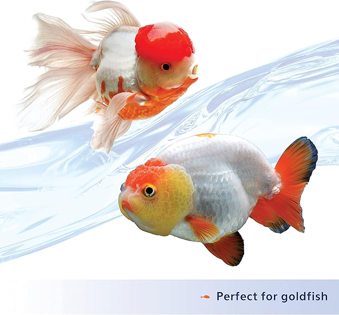 Aqueon Nutrinsect Fish-Free Fish Food, Goldfish Pellets, 1.76 oz (Pack of 2)