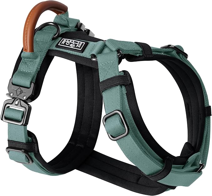 MADE TO ROAM Premium Explorer Harness - Y-Shaped Dog Harness with Adjustable Durable Nylon, Soft Padding, Metal Buckles and Leather Handle for Small, Medium, Large Dogs (Florida Seaside, Size 1)