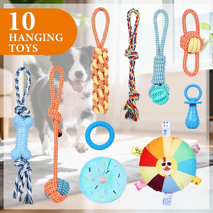 WLLEYAY Puppy Play Gym for Small Dogs 10 Hanging Toys,Interactive Dog Toys | Removable Indoor Jungle Gym,PVC Frame With Adjustable Bungee Straps, Interactive Tug Toys,Dogs Rope Toy To Keep Them Busy
