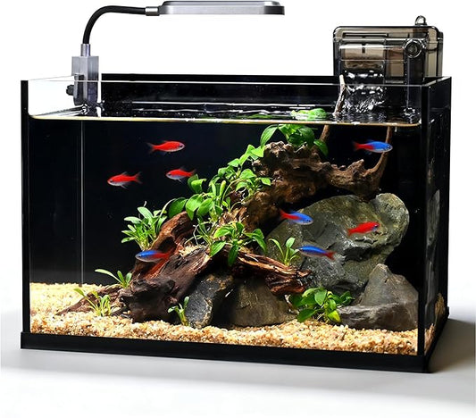 Glass Fish Tank Kit,2.8 Gallon Fish Tank,Small Aquarium, Ultra-Clear Nano Aquarium,Betta Fish Tank,Small Fish Tank,Aquarium Starter kit,Desktop Fish Tank,with Light and Filter