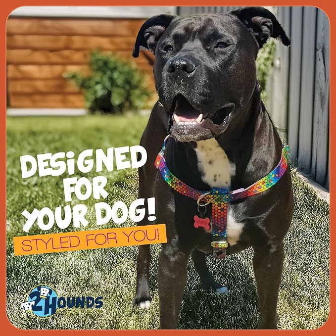 2 Hounds Design - Freedom No-Pull Harness & Training Leash in Blue and Rainbow | Dual Leash Loops, No Pulling on Walks | Lined to Prevent Chaffing | for Large Sized Dogs (Size M, Chest 24”- 28”)