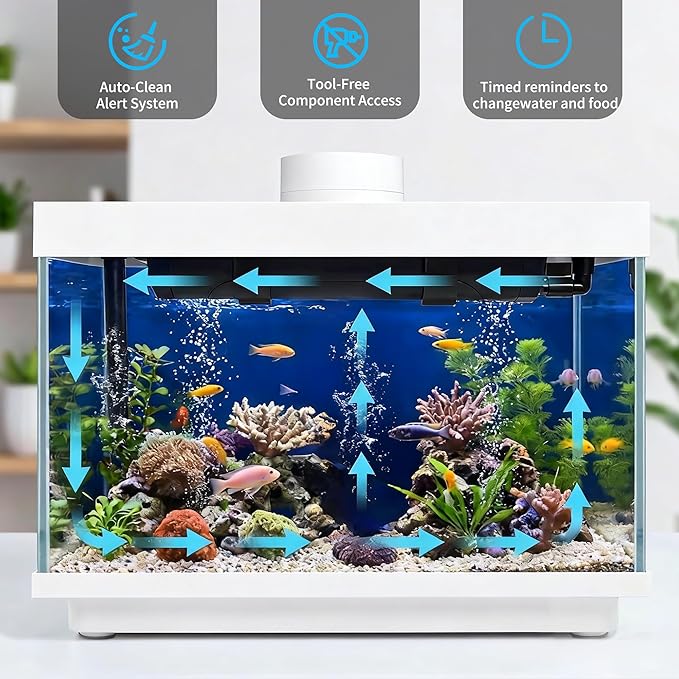 Smart Fish Tank, 2 Gallon Glass Aquarium Starter Kit with App Control, Auto Feeder, Temperature Display, RGB Color Light 3-in-1 Quiet Pump with Filter for Home, Office Corner