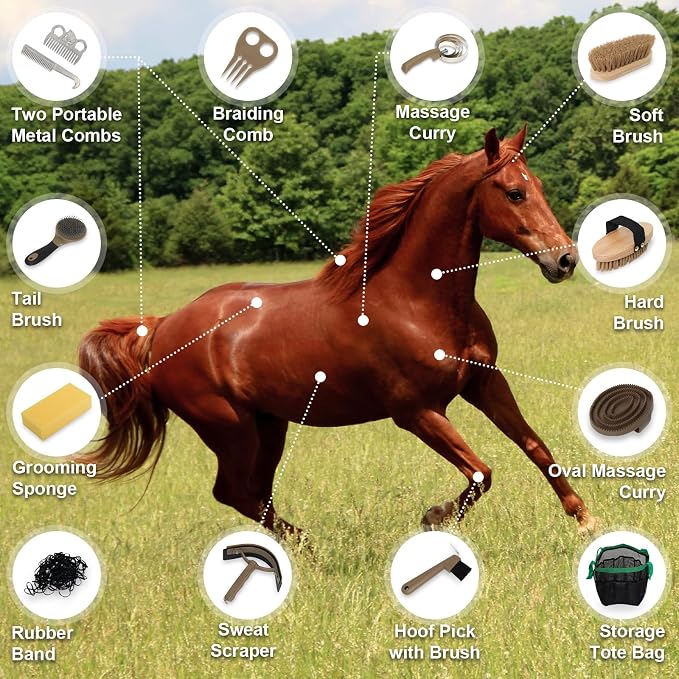 Horse Grooming Kit 14 Pieces, Horse Brushes for Grooming Supplies Set | Includes Curry Comb, Hoof Pick, Gloves & Mane Tools Durable Grooming Set for Bathing, Shedding and Daily Horse Care