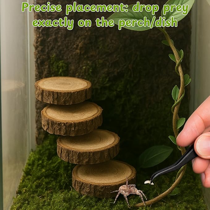 Jumping Spider Feeding Dish Kit with Tweezers, Dual Cup Food Bowl with Suction Mount, Small Reptile/Tarantula Enclosure Accessories (Feeding Ledge)