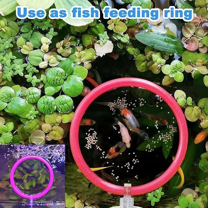 Betta Fish Toys - 4 Training Rings & 2 Bio Filter Balls, Beta Exercise Loop Toys and Nitrifying Balls Set, Betta Fish Tank Accessories Feeding Ring for Small Tank Decor Aquarium Water Conditioner