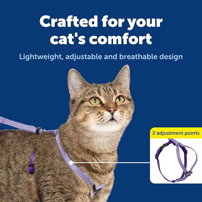 PetSafe Come With Me Kitty Harness and Bungee Cat Leash, Medium, LILAC/BRIGHT PURPLE, Model:CWMK-M-LLC | Adjustable 2-Point Fit Applies Gentle Pressure to Shoulders, Not Neck, for Small & Average Cats with 10.5 in - 14 in Girth