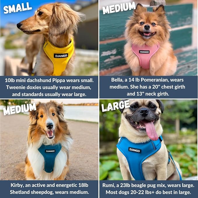 Adventure Dog Harness - Stylish Large Dog Harness for Outdoor Adventures and Everyday Wear - Dandelion Yellow Neoprene Adjustable Harness for Dogs with Reflective Piping and Solid Brass D-Ring