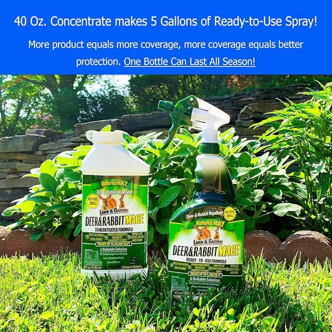 Nature’s MACE Deer and Rabbit Mace, Deer Repellent Spray, Plants, Lawns, Flowers, Gardens, Deer Repellent Spray, Keep Deer Out, Deterrent, All-Season Protection, 1 Gallon Concentrate, Treats 2 Acres