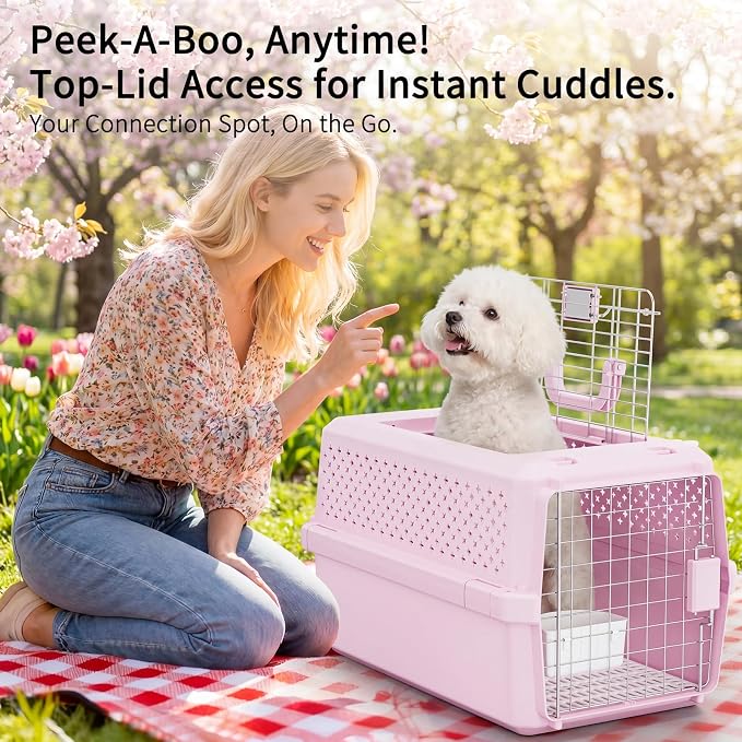 RIZZARI Pet Travel Carrier, 22" Hard Kennel for Cats & Small Dogs | Strong Wire Door,Comfortable Transport,Reliable Lock Design,Ventilated Side Panels,Lightweight Structure,Easy Daily Care