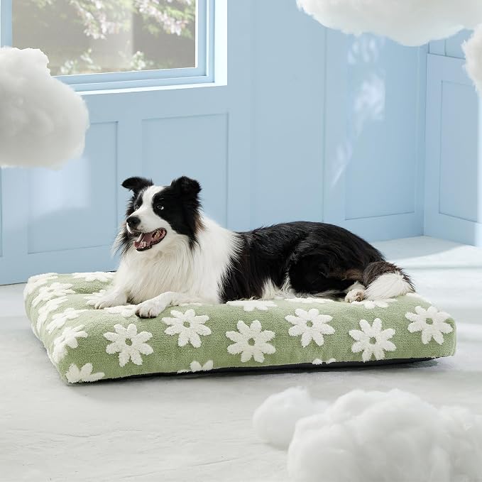 LE SURE Cute Aesthetic Dog Beds Large Sized Dog,Thick Pet Pillow 36x27 | Chopped Foam, Jacquard Modern Plush Crate Cushion Gift for Large Dog, Waterproof Washable Cover, Nonslip Bottom, Green