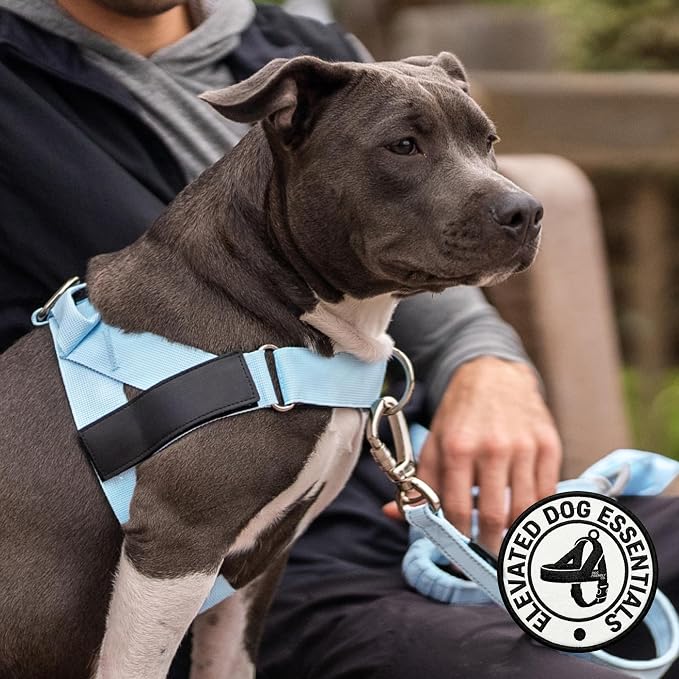 Dog Friendly Co. Dog Harness for Small Dogs (Sky Blue, XXSmall) | One Click Buckle, Chafe Resistant Webbing, Adjustable Neck & Chest, and Heavy Duty D-Ring, Sturdy Comfortable and Easy to Use