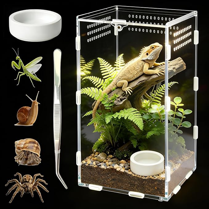 Jumping Spider Enclosure, Acrylic Terrarium with Magnetic Door & All-Side Ventilation, Easy-Clean Habitat for Spider, Tarantula, Mantis, Snail(Tweezer and Bowl Included)