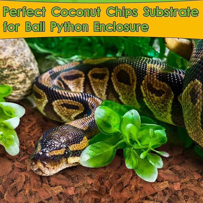 Halatool 2 Pack Snake Bedding Natural Coconut Chips Substrate Coco Husk for Reptiles Tank Terrarium Substrate for Ball Python Frog Gecko Hermit Crab Tortoise