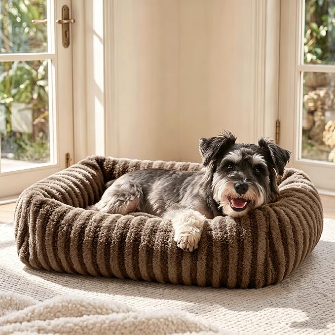 MIXJOY Dog Beds for Small Dogs Cats, Washable Dog Bed with Removable Cover, Soft Calming Cat Bed for Indoor Cats, Rectangle Pet Sofa Bed for Puppy Kitty, Anti-Slip Bottom,20"x19"x6",Brown
