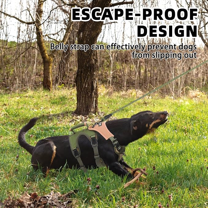 PUPTECK Escape Proof Dog Harness and Leash Set Upgraded No Pull Reflective Dog Vest with Lift Handle, Easy Control Pet Harness for Medium Large Dogs Training Walking Running, Green, L